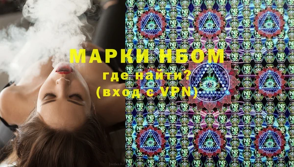 a pvp Тайга