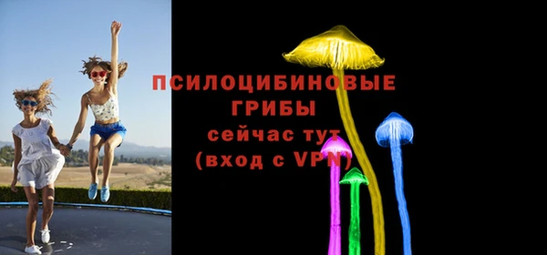 ГАЛЛЮЦИНОГЕННЫЕ ГРИБЫ Сясьстрой