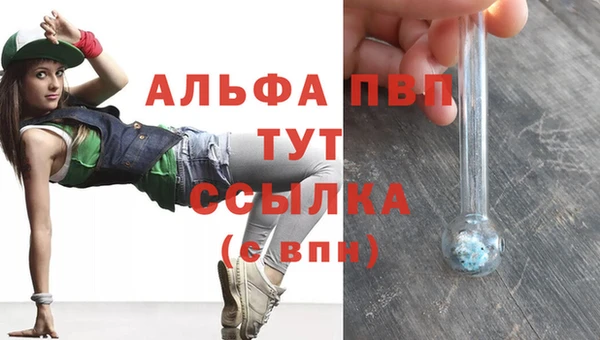 трава Балахна