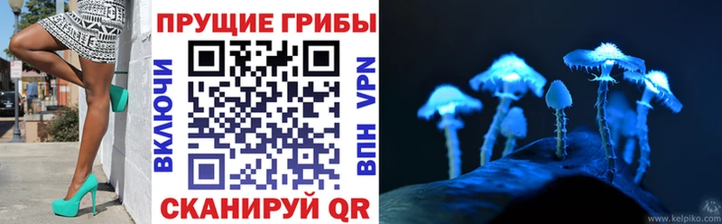 Псилоцибиновые грибы Psilocybine cubensis гидра как войти Кяхта